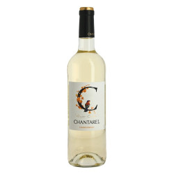 Chardonnay Chantarel...