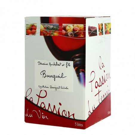 Wine box 5 Liters BOURGUEIL by Domaine AUDEBERT