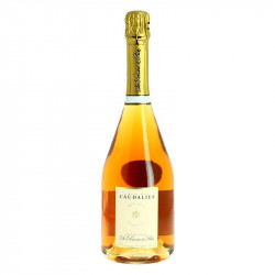 De Sousa Champagne Cuvée Caudalies Rosé 75 cl