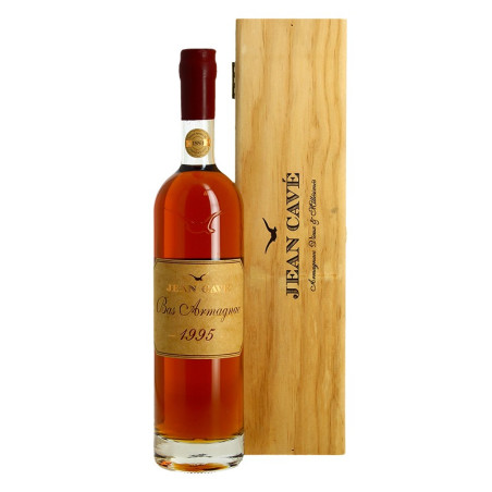 ARMAGNAC Vintage 1995 Jean Cavé 70 cl