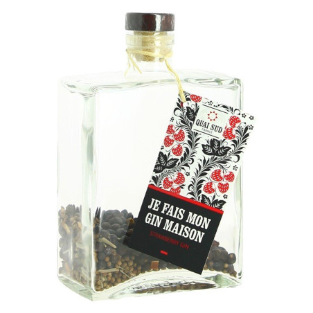 Je Fais Mon Gin Maison Gin Strawberry by Quai Sud