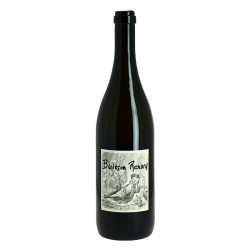 BUISSON RENARD 2012 DAGUENEAU