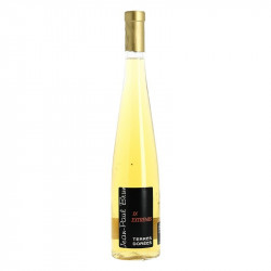 In Extremis Chardonnay Sweet Beaujolais Region White Wine JP BRUN 50 cl