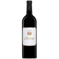 MONTUS MADIRAN 2011 75CL BRUMONT
