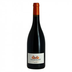 Red Valencay Wine by Domaine Bardon Loire Valley Wine