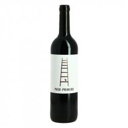 Paso Primero Tinto D.O Somontano red wine from Spain 75 cl