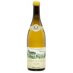 Domaine BILLAUD-SIMON CHABLIS Grand Cru "VALMUR" 2019 75 cl White Burgundy Wine