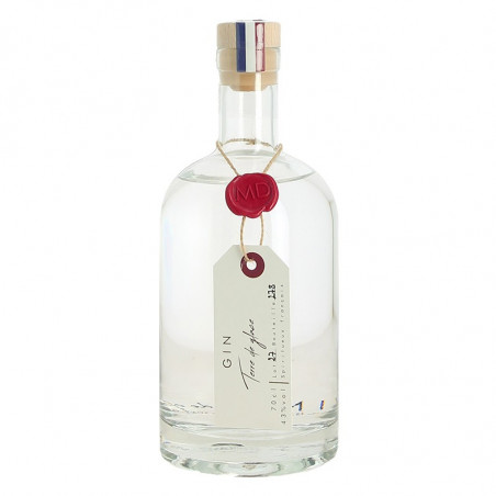 Craft GIN Terre de Glace by Distillerie MD 70 cl