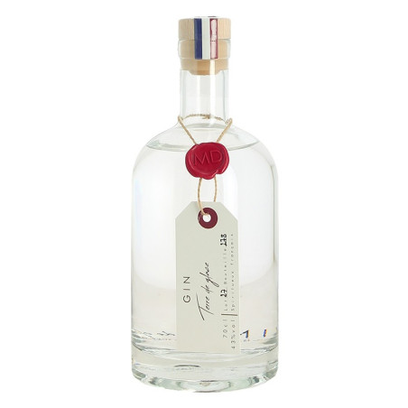 Craft GIN Terre de Glace by Distillerie MD 70 cl