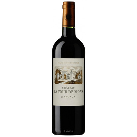 Chateau la TOUR de MONS 2015 Margaux Red Wine