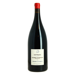 MAGNUM SAUMUR CHAMPIGNY LES...