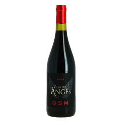 Villa des ANGES GSM 2024...
