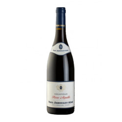 GIGONDAS Pierre Aiguille de...