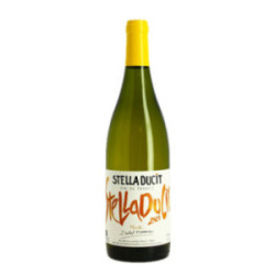 Stella Ducit 2023 – White...