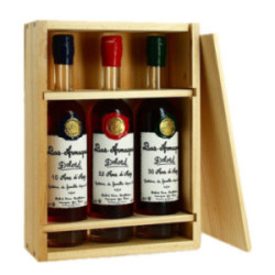 Armagnac DELORD Box of 3X20...