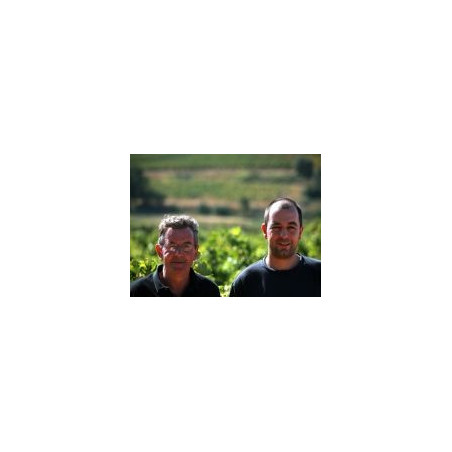White Corbieres Wine Chateau La Voulte Gasparet