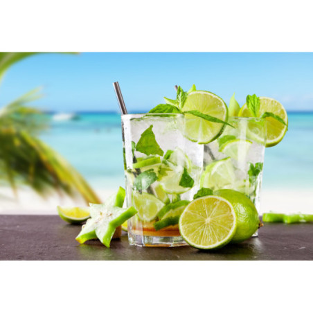 Mix for Cocktail for MOJITO Rum Punch in a Gift Pack Mix for Cocktail for MOJITO Rum Punch in a Gift Pack