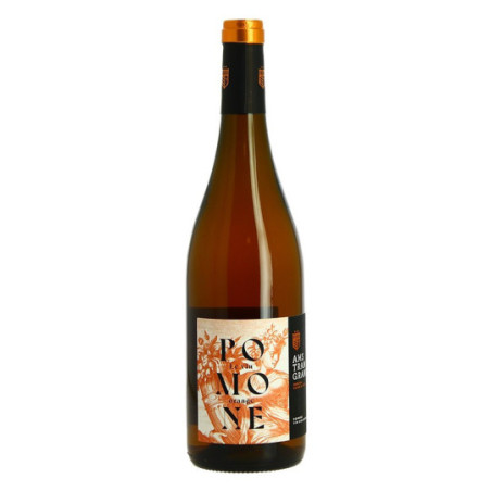 ORGANIC Orange Wine POMONE AMS TRAM GRAM 2022 75 cl ORGANIC Orange Wine POMONE AMS TRAM GRAM 2022 75 cl