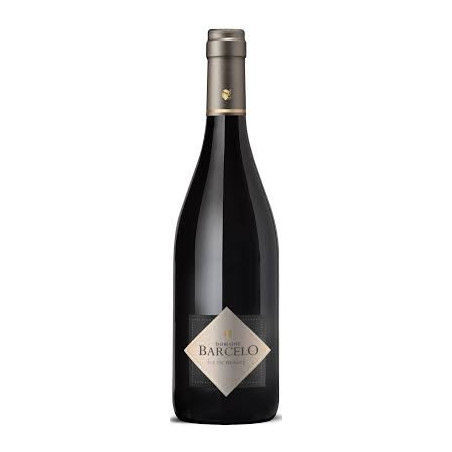 Domaine Barcelo IGP Île de beauté red Corsica wine 2023 Domaine Barcelo IGP Île de beauté red Corsica wine 2023