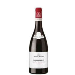 POMMARD 2022 NUITON BEAUNOY