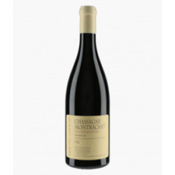 Pierre Yves COLIN MOREY...