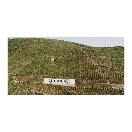 Châteauneuf du Pape 2020 by Guigal Red Wine Châteauneuf du Pape 2020 by Guigal Red Wine