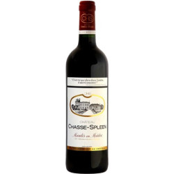 Château CHASSE SPLEEN...