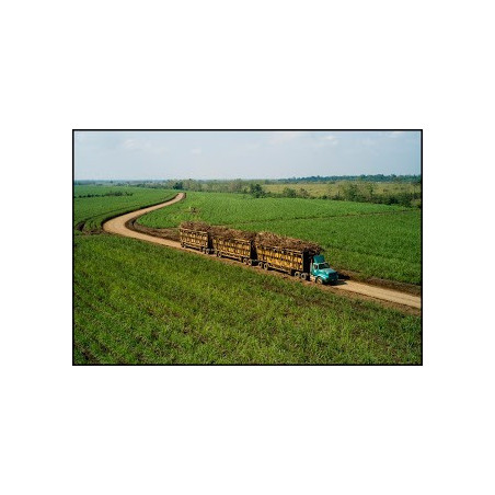 Zacapa Centenario 23 Years Old Sistema Solera Guatemalan Rum