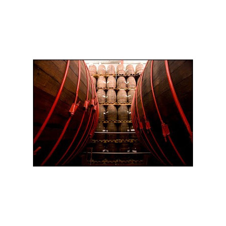 Zacapa Centenario 23 Years Old Sistema Solera Guatemalan Rum