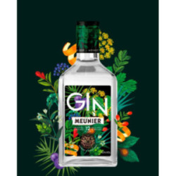 Distilled GIN by MEUNIER 70...