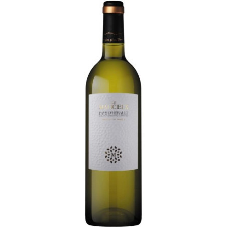 MALICIEUX BLANC 75 cl Cave de St Chinian Hérault regional wines