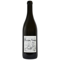 BUISSON RENARD 2022 by...