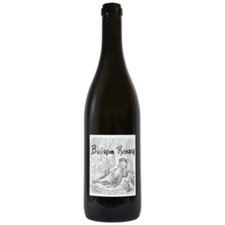 BUISSON RENARD 2022 by Louis benjamin DAGUENEAU