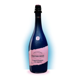 PUNITION Rosé Beer in a...