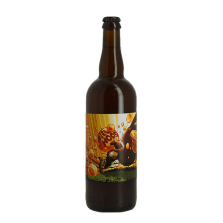 MIEL P'HOPS beer, 75 cl, by Brasserie Chromatique