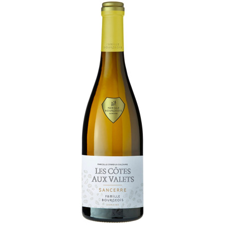 White SANCERRE Les Côtes Aux Valets Domaine Henri BOURGEOIS 2020 75 cl