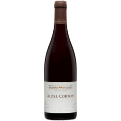 Red ALOXE CORTON 2023...