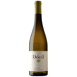 DIRK NIEPOORT DOCIL 2021...