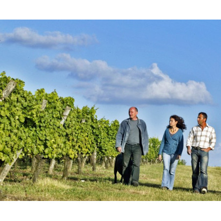 La Vigne d'Albert Bergerac Red Organic Wine Without Sulfite by Chateau la Tour des Gendres