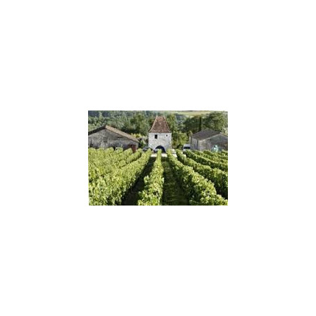La Vigne d'Albert Bergerac Red Organic Wine Without Sulfite by Chateau la Tour des Gendres