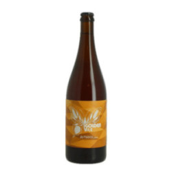 GOLDEN ALE Craft Beer by...