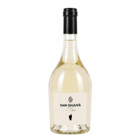 SAN GHJUVA Terra Blanc 75 cl White Wine from Corsica by the Aghione Winegrowers