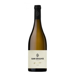SAN GHJUVA Corsican white...