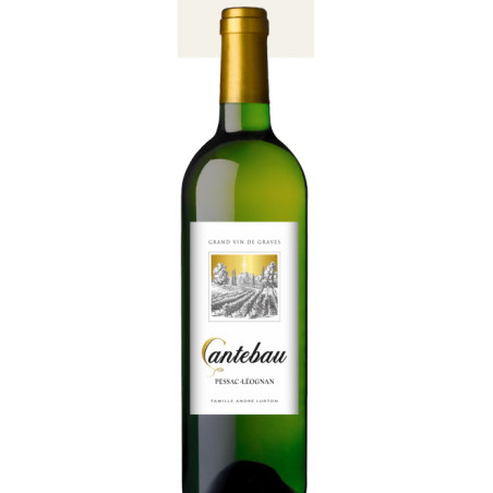 CANTEBAU White Pessac Léognan 2023 75 cl