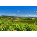 Château ESTANILLES Clos du Fou 2017 Faugères Organic Red Wine from Languedoc