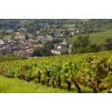 Bourgogne Chardonnay by PROSPER  MAUFOUX Dry White Wine