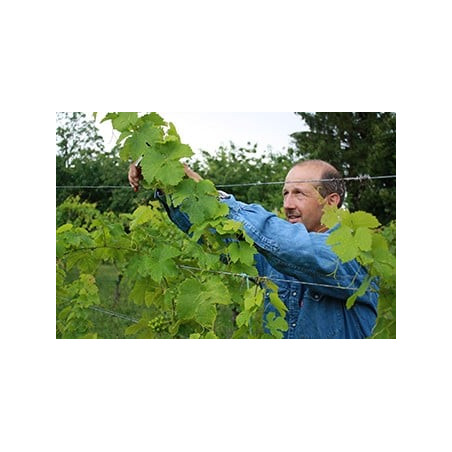 Gewrztraminer Alssace Grand Cru Bruderthal by Philippe Heitz organic Wine Gewrztraminer Alssace Grand Cru Bruderthal by Philippe Heitz organic Wine