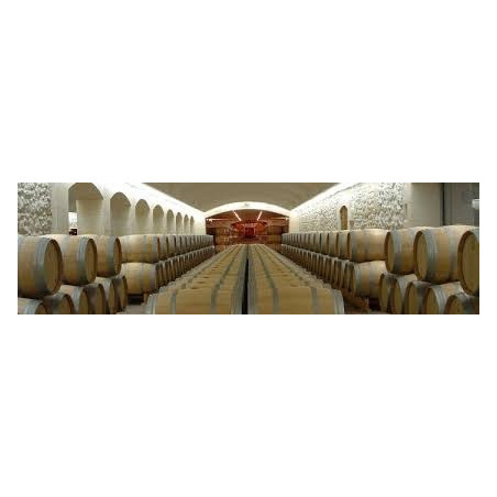 Château Haut MARBUZET 2023 Saint Estèphe Vin Rouge de Bordeaux Magnum 1.5 l