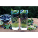 BLUEBERRY MOJITO Rum Punch by Jacques FISSELIER 50 cl