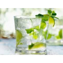 MOJITO Cocktail Gift Pack 3 x 20 cl by Jacques Fisselier